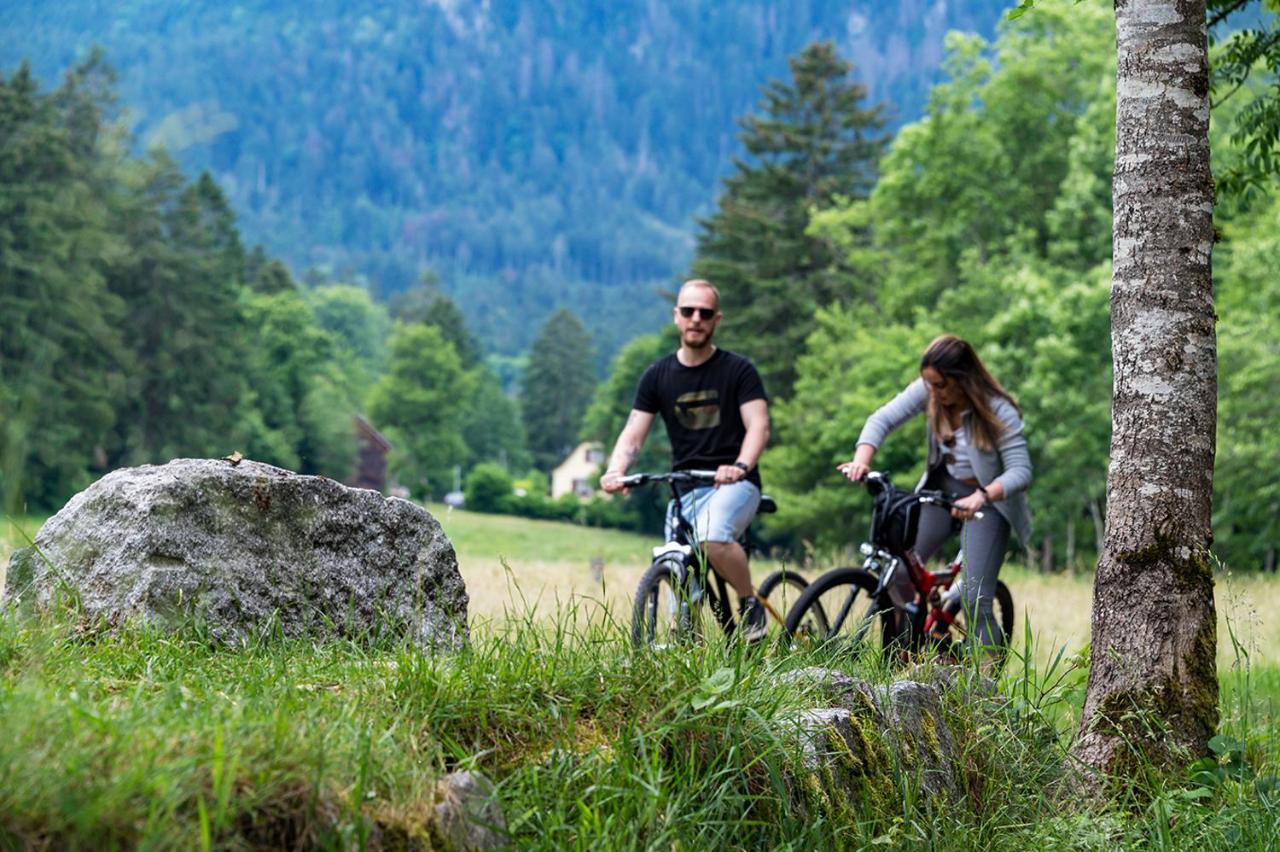 Chalet Hohneck 4 Etoiles, Vieux Bois Et Pierre, Spa, Sauna, Borne De Recharge Stosswihr Zewnętrze zdjęcie