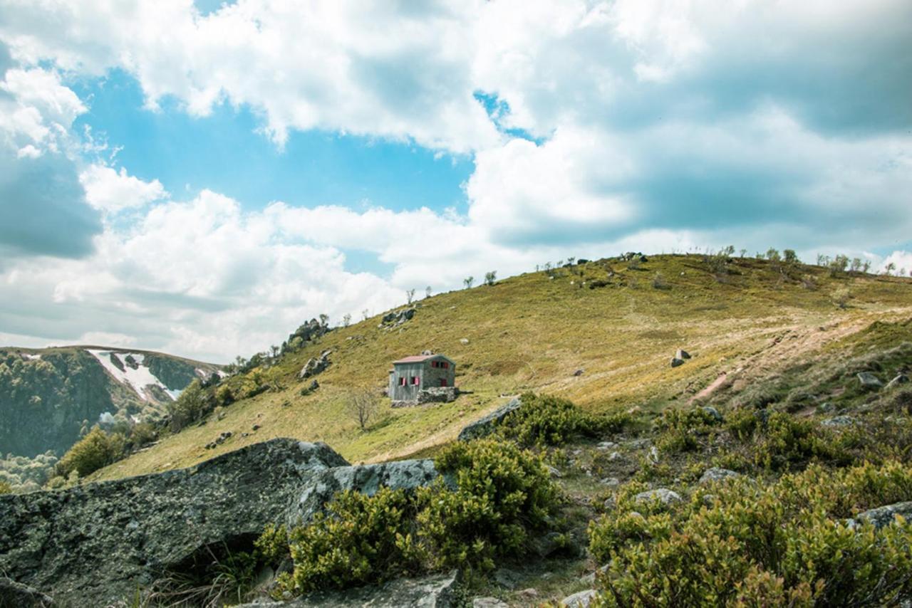 Chalet Hohneck 4 Etoiles, Vieux Bois Et Pierre, Spa, Sauna, Borne De Recharge Stosswihr Zewnętrze zdjęcie