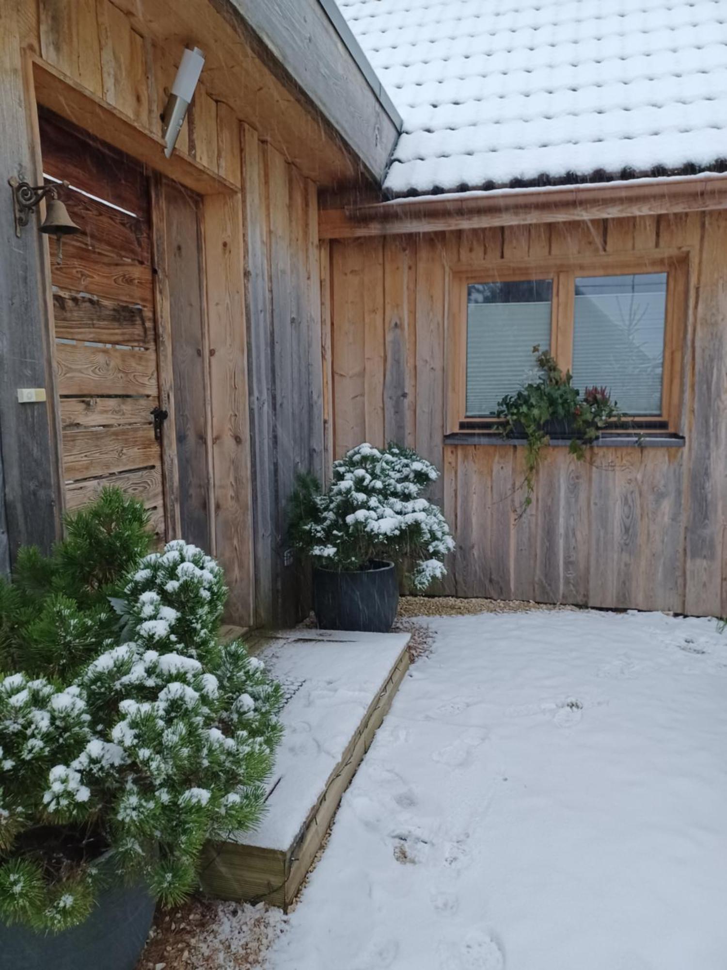 Chalet Hohneck 4 Etoiles, Vieux Bois Et Pierre, Spa, Sauna, Borne De Recharge Stosswihr Zewnętrze zdjęcie